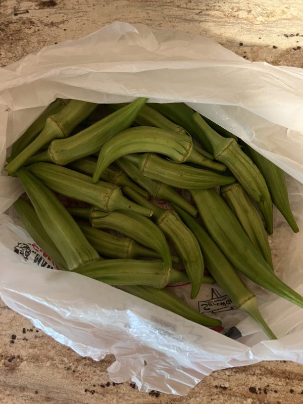 Clemson Spineless Green Okra
