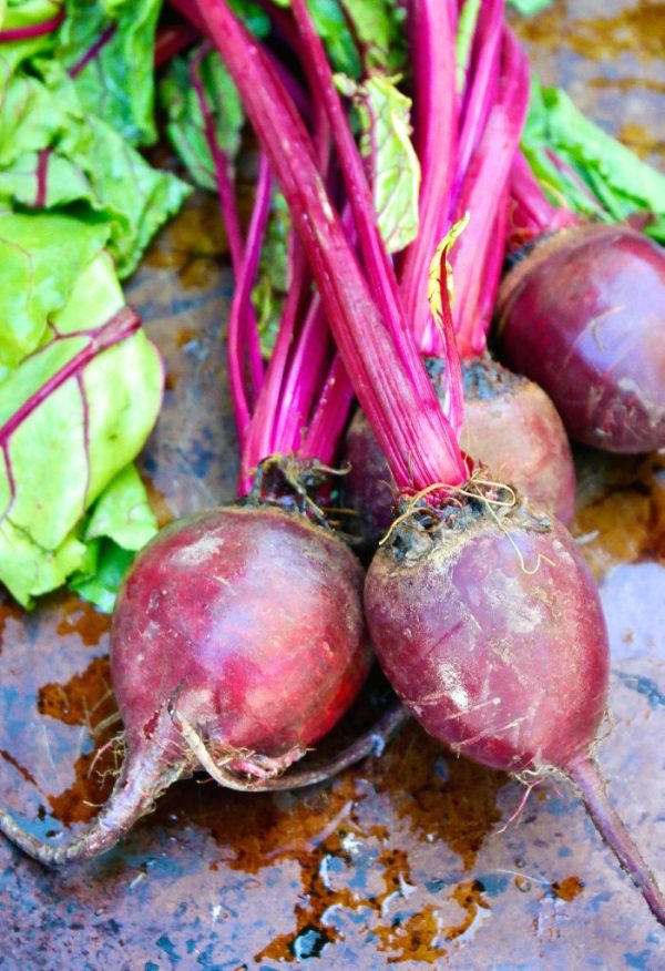 Red Beets - Image 2