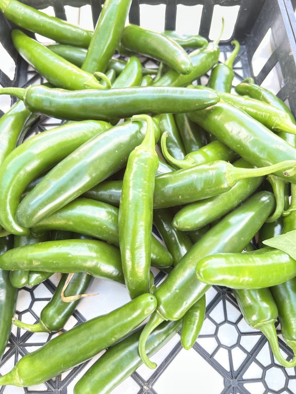 Jalapeño