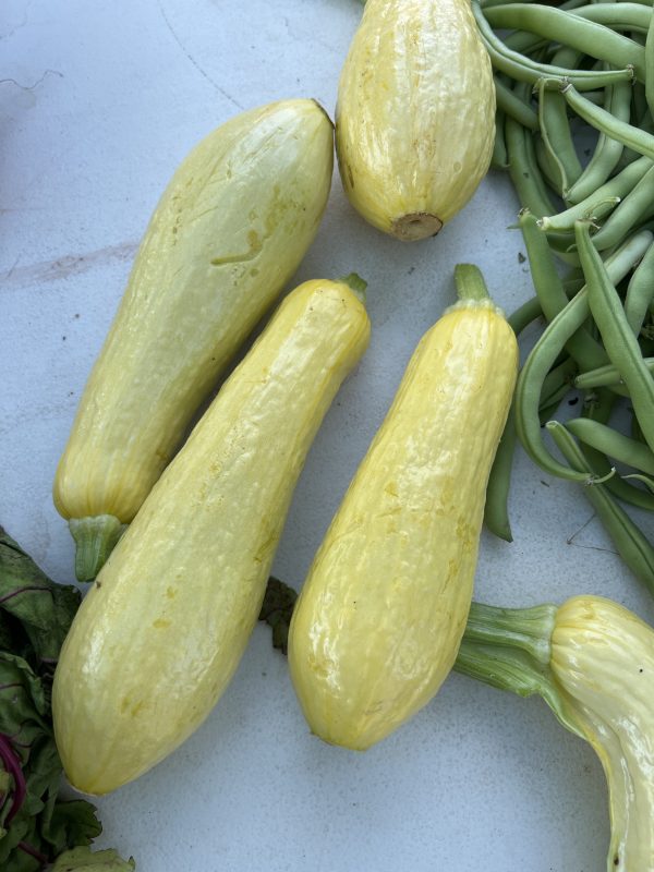 Yellow summer squash