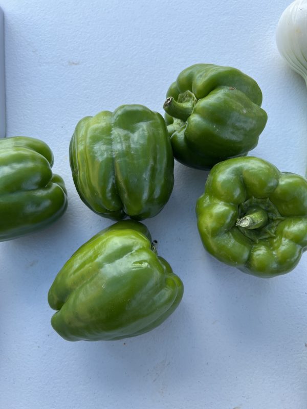 Bell pepper green