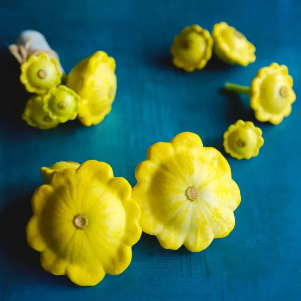 Summer Squash Patisson Golden Marbre Scallop