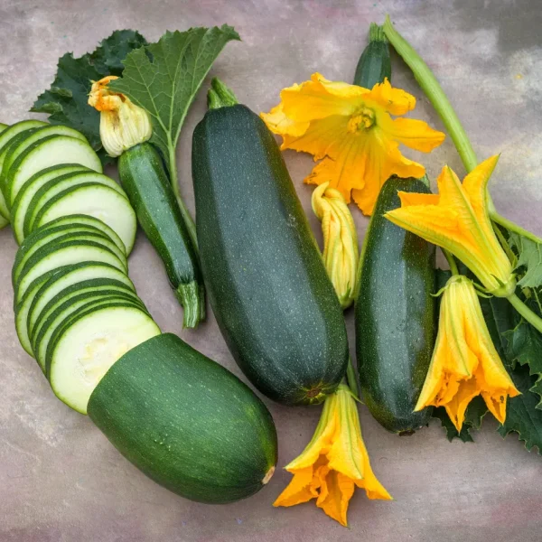 Summer Squash Zucchini Black Beauty
