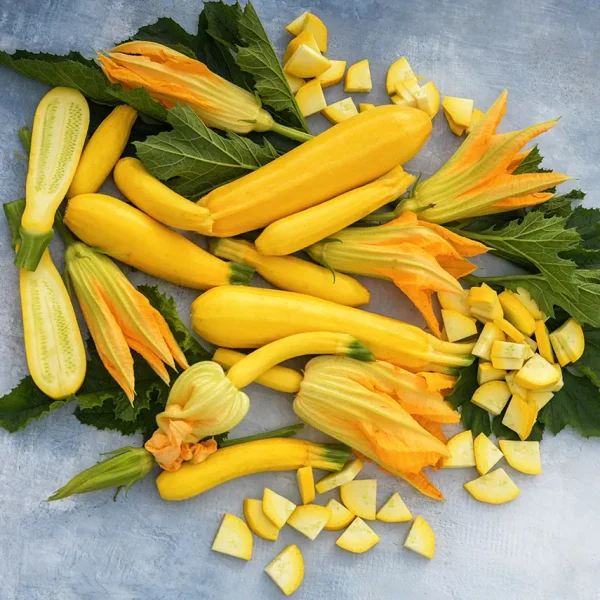 Summer Squash Zucchini Golden